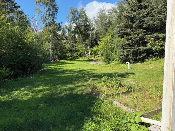 Un espace verdoyant avec des arbres, une clôture en bois et un ciel dégagé.