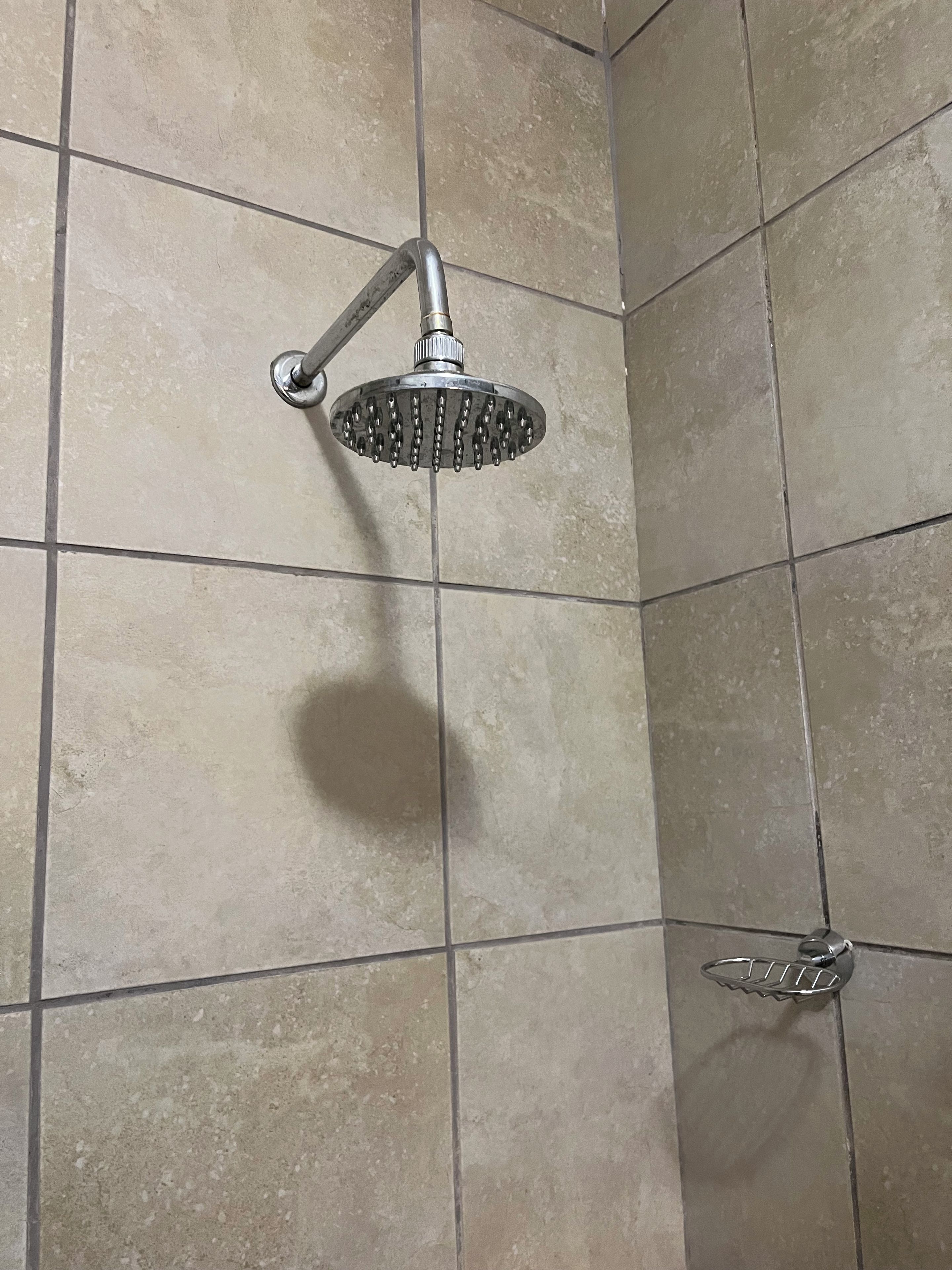 A showerhead mounted on a tiled wall with a handrail.