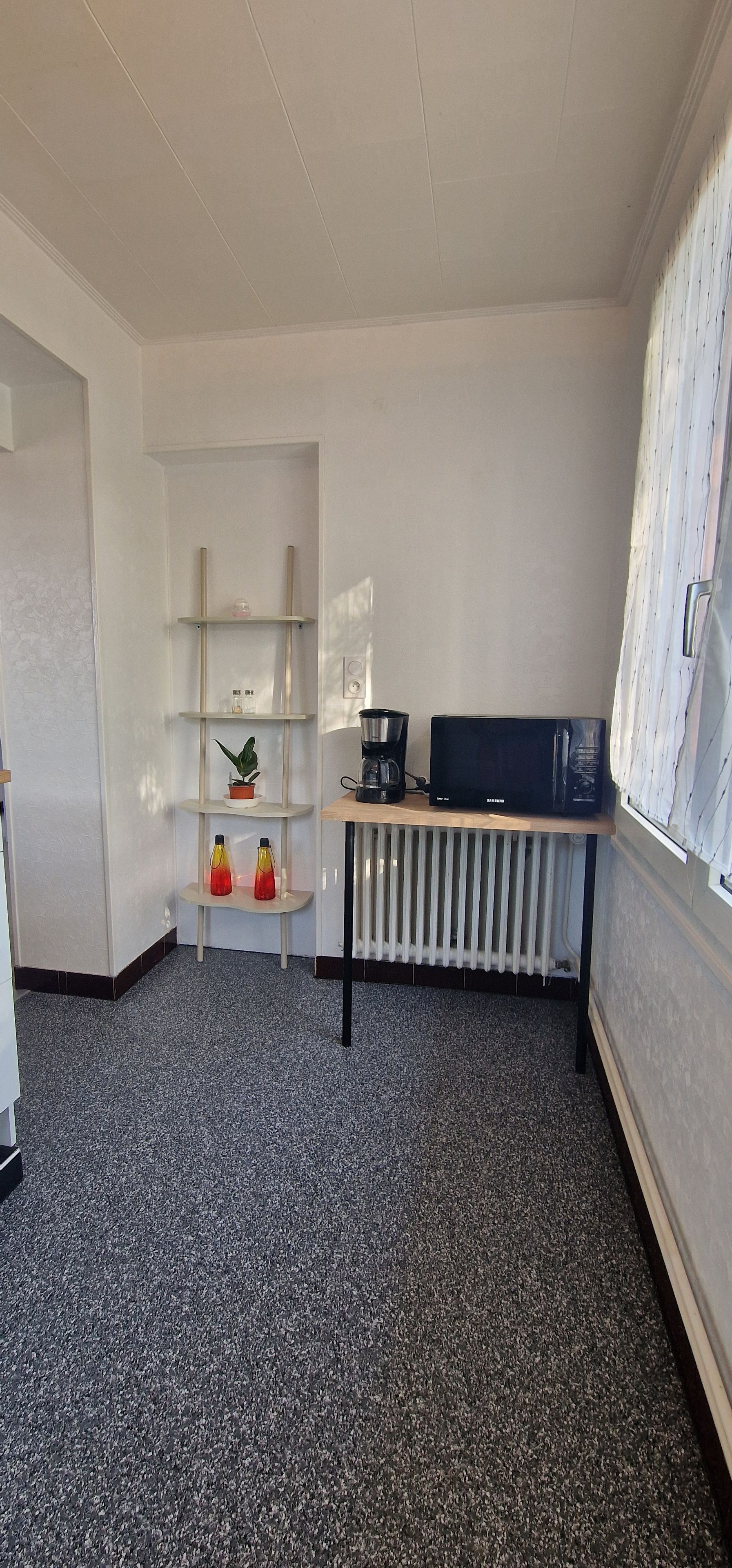 Une pièce avec un radiateur, une étagère ornée d’objets décoratifs et un téléviseur posé sur une table en bois.