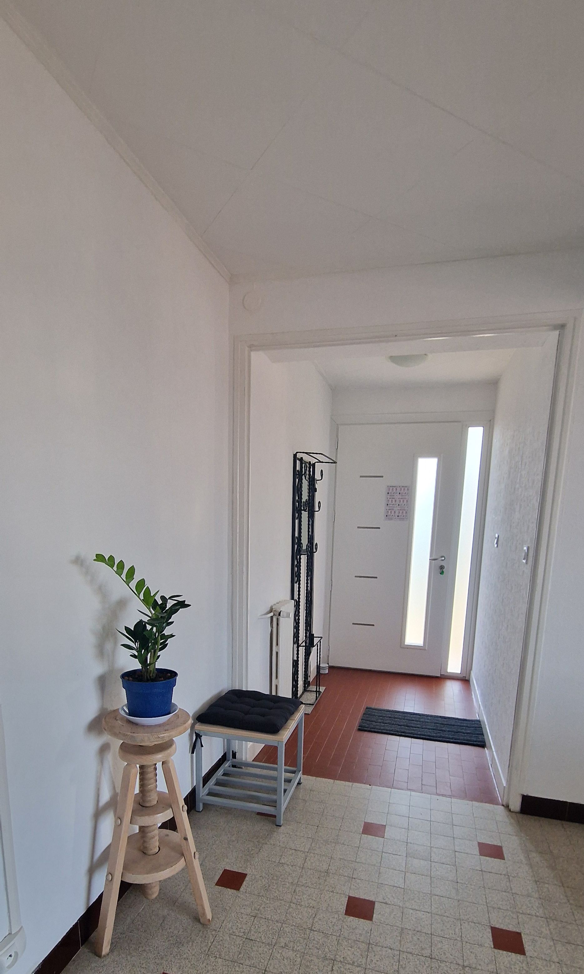 A hallway with a potted plant, a small stool, a metal rack, and a door leading to another room.