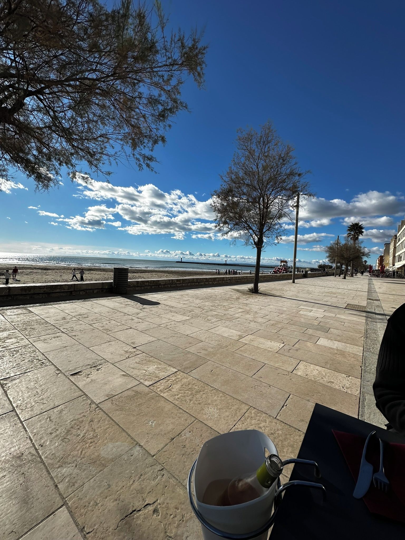 A paved outdoor area with a view of the sea, a tree, and a table with a bucket and utensils.