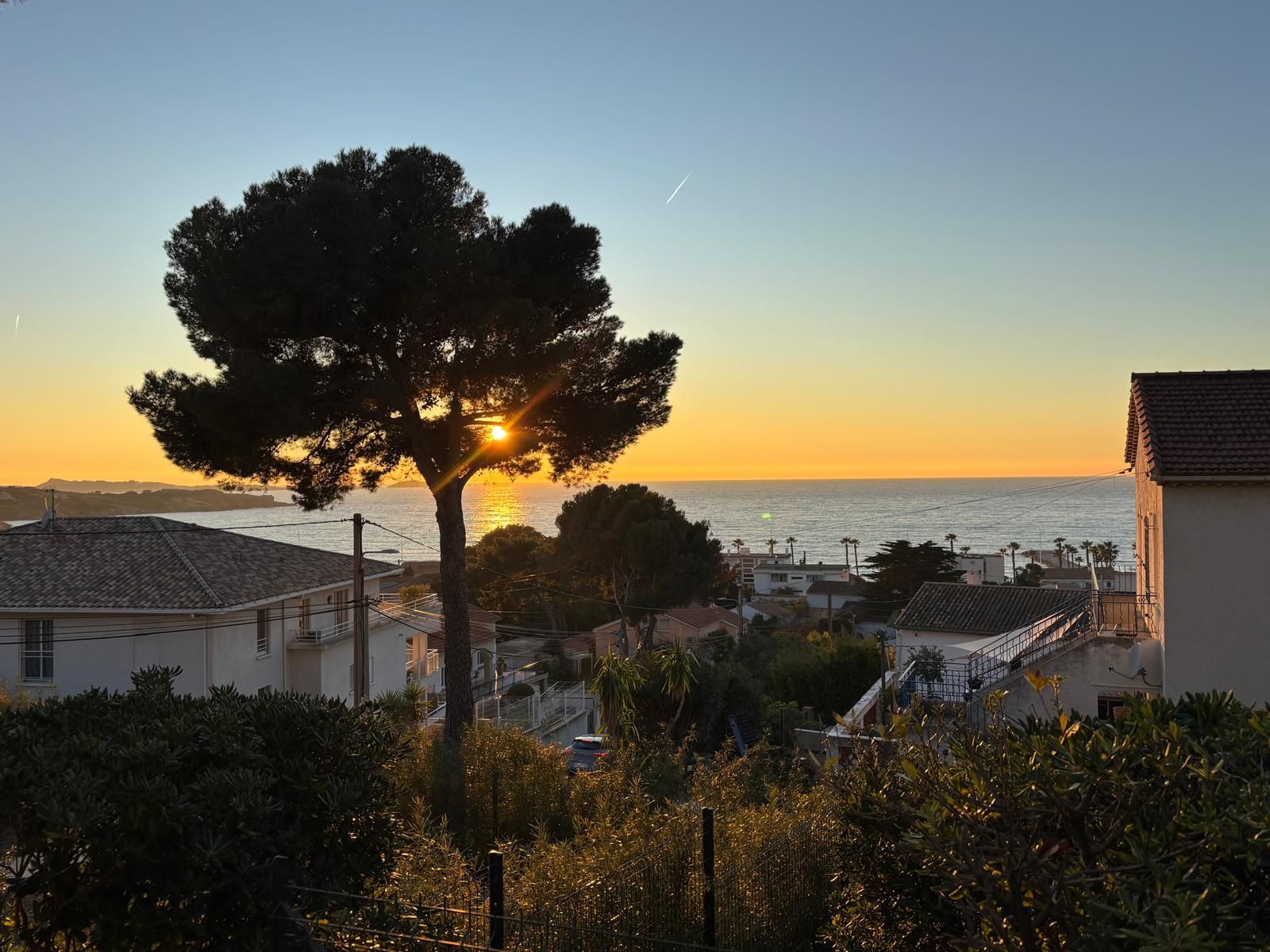 A coastal residential area with houses, a tree, and a sunset over the sea.