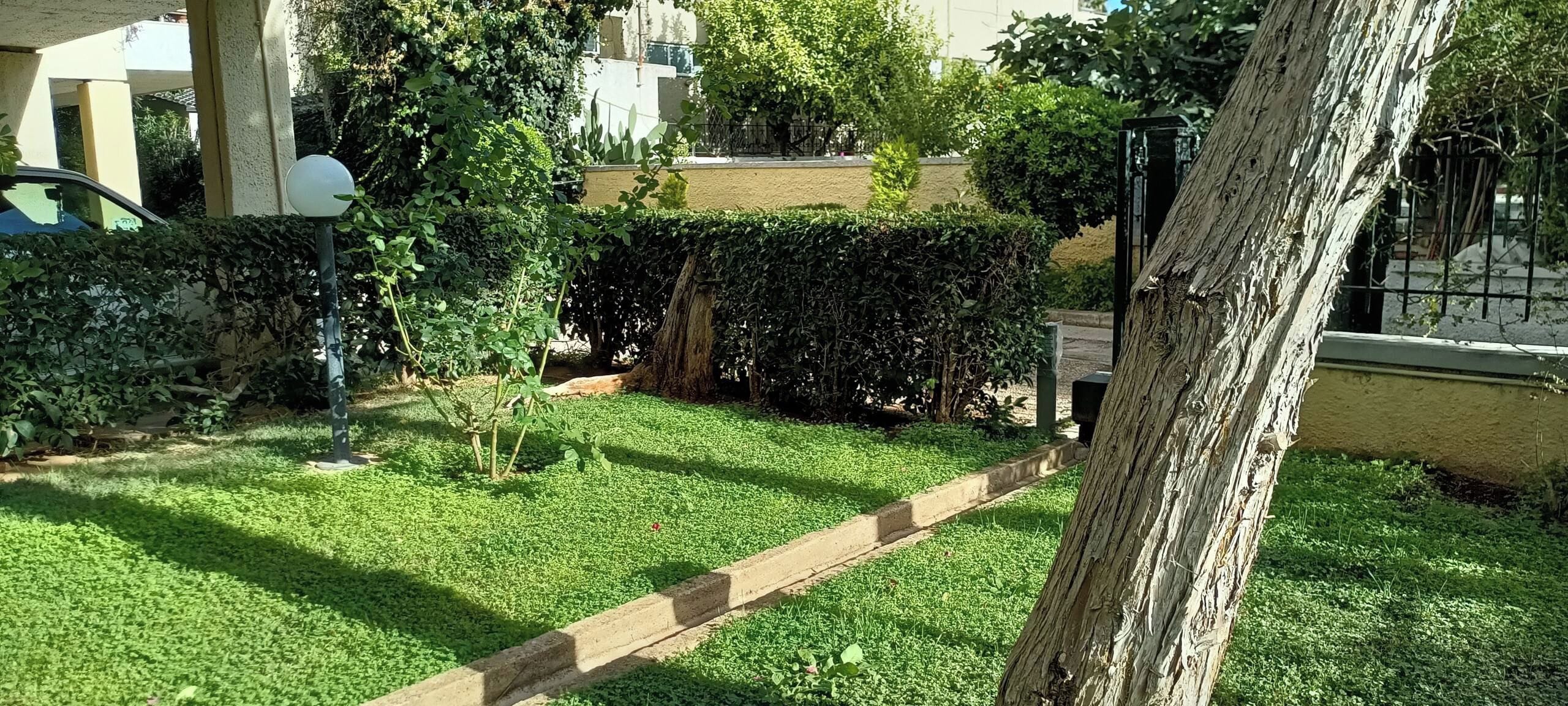 Jardin