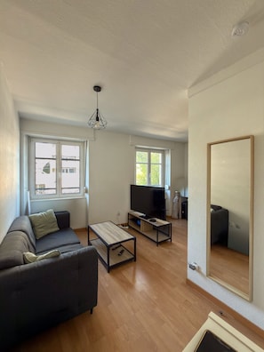 A modern living room with a sofa, a coffee table, a television, and a large mirror. - Spacious one-bedroom apartment near downtown (Strasbourg)