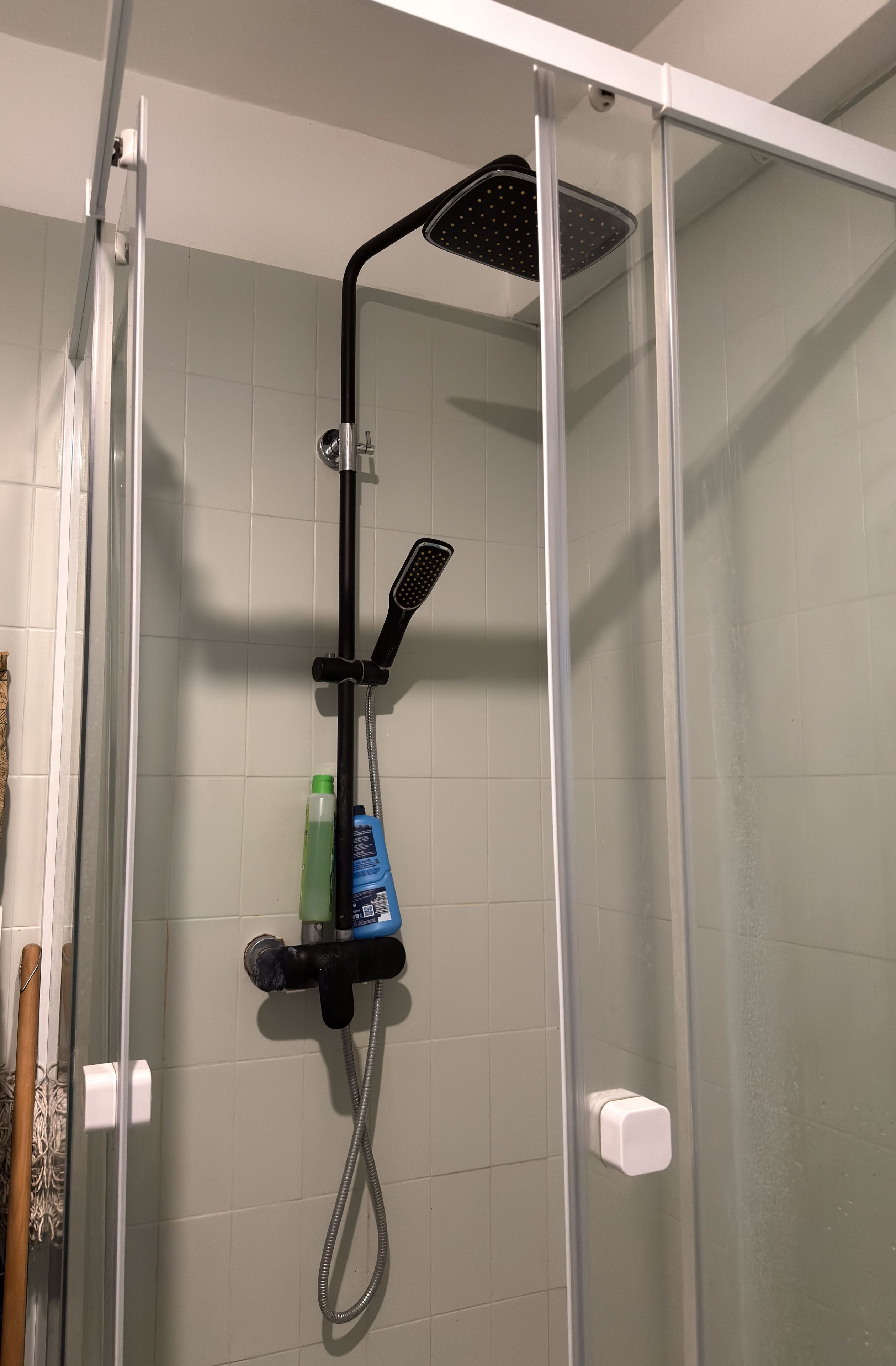 A glass-enclosed shower with a handheld showerhead and a handheld scrubber.