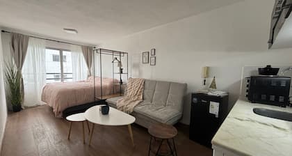 Monoambiente céntrico con estilo Moderno&Acogedor