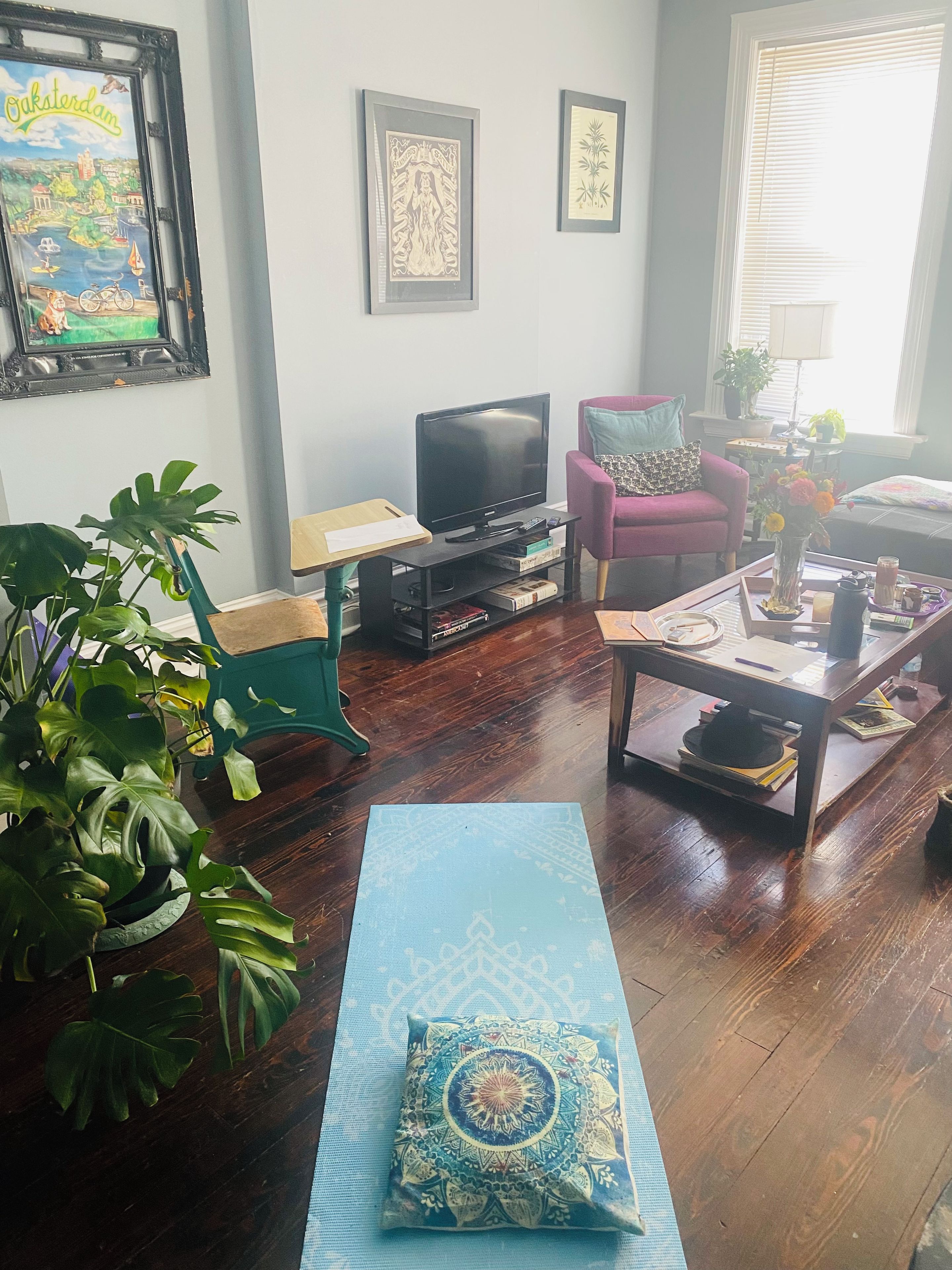 Een woonkamer met een televisie, een bank, een salontafel en een grote plant.