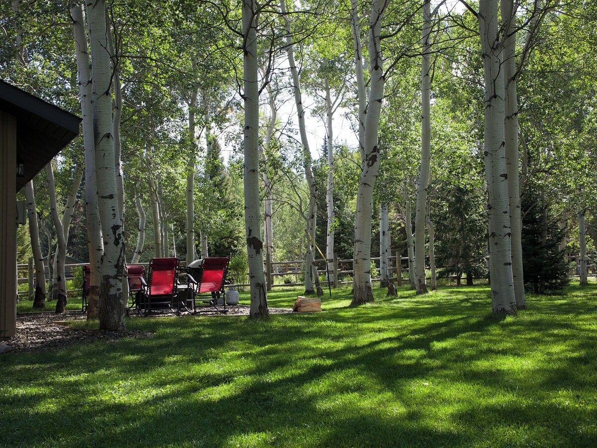 A park with birch trees, red chairs, and a wooden structure.