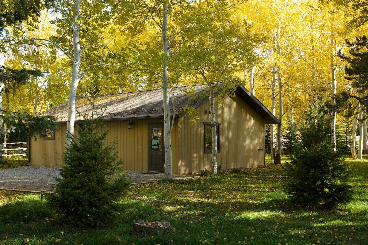A wooden cabin with a sloped roof, surrounded by trees with yellow leaves, and a gravel driveway.