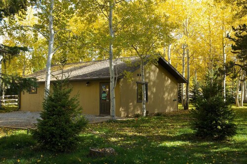 The Aspen Cabin