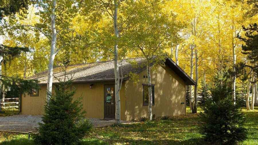 The Aspen Cabin