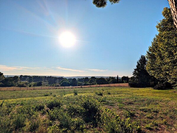 A field with a fence and trees in the background.