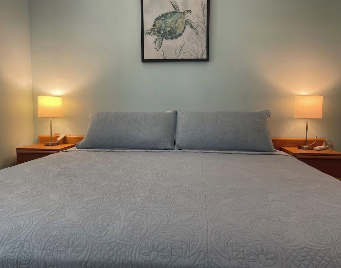 Un lit recouvert d’une couvre-lit à motifs, deux lampes de chevet et, au mur, une œuvre d’art encadrée représentant une tortue.