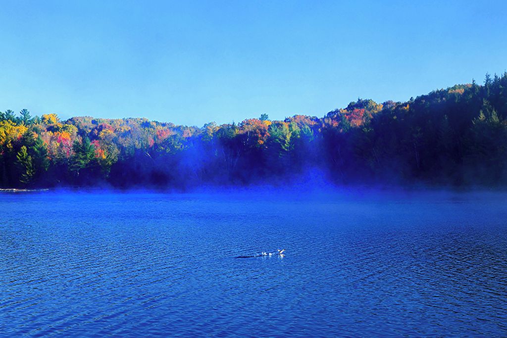 A calm lake with a forested shoreline and a clear sky.