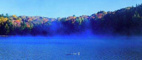 A calm lake with a forested shoreline and a clear sky.