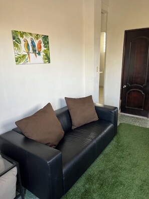Ein schwarzes Ledersofa mit zwei braunen Kissen, ein Teppich aus grünem Kunstgras und ein Wandbild bunter Vögel.