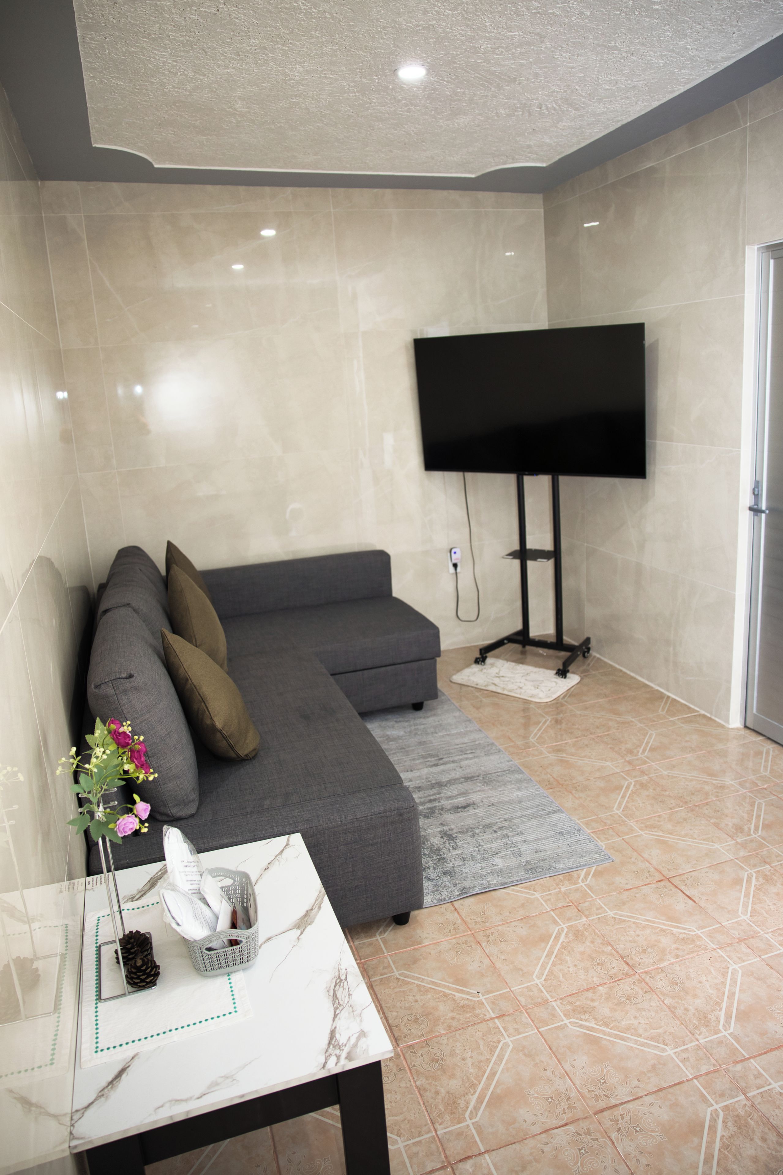 A modern living room with a grey sectional sofa, a flat-screen TV mounted on a stand, a marble-patterned coffee table, and a patterned rug.