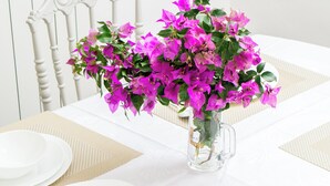 Una mesa dispuesta con platos blancos, una taza de vidrio transparente y un florero con flores rosadas.