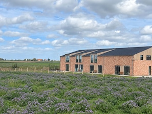 A modern building with a brick facade and large windows, surrounded by a field of purple flowers.