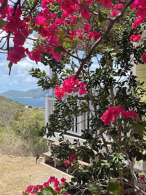 A building with a balcony overlooking a coastal landscape. - Home on Beach on Private Island Available for Holidays Overlooking Caribbean Sea (St John)