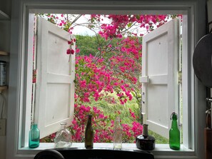 A window with a view of pink flowers and bottles on the sill. - Home on Beach on Private Island Available for Holidays Overlooking Caribbean Sea (St John)