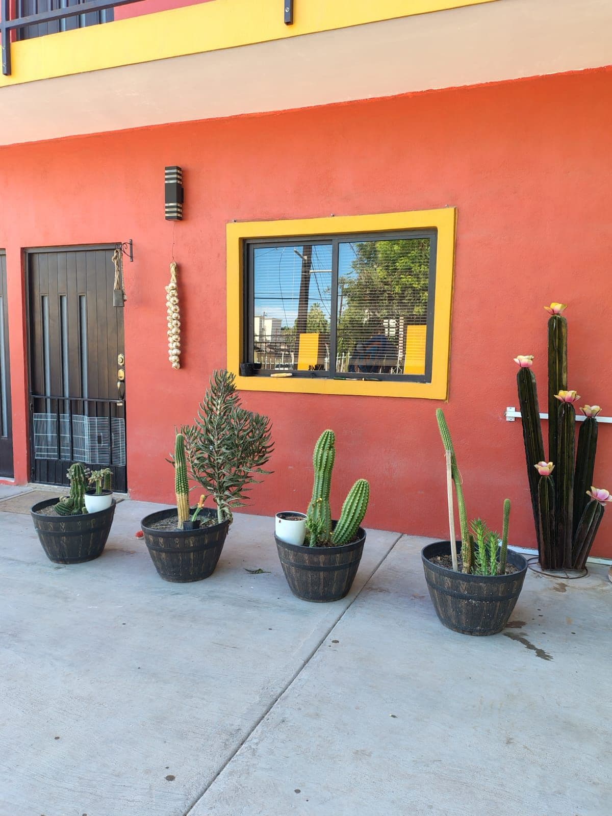 A building with a red exterior, a black door, and a window with a yellow frame. There are potted cacti in front of the building.