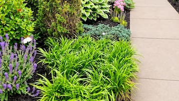 Ein angelegter Garten mit verschiedenen Pflanzen und einem Betonweg.