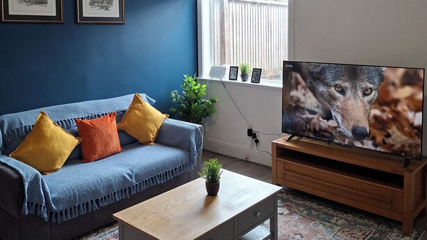 Una sala de estar con un sofá azul, una mesa de centro, un televisor y una alfombra estampada.