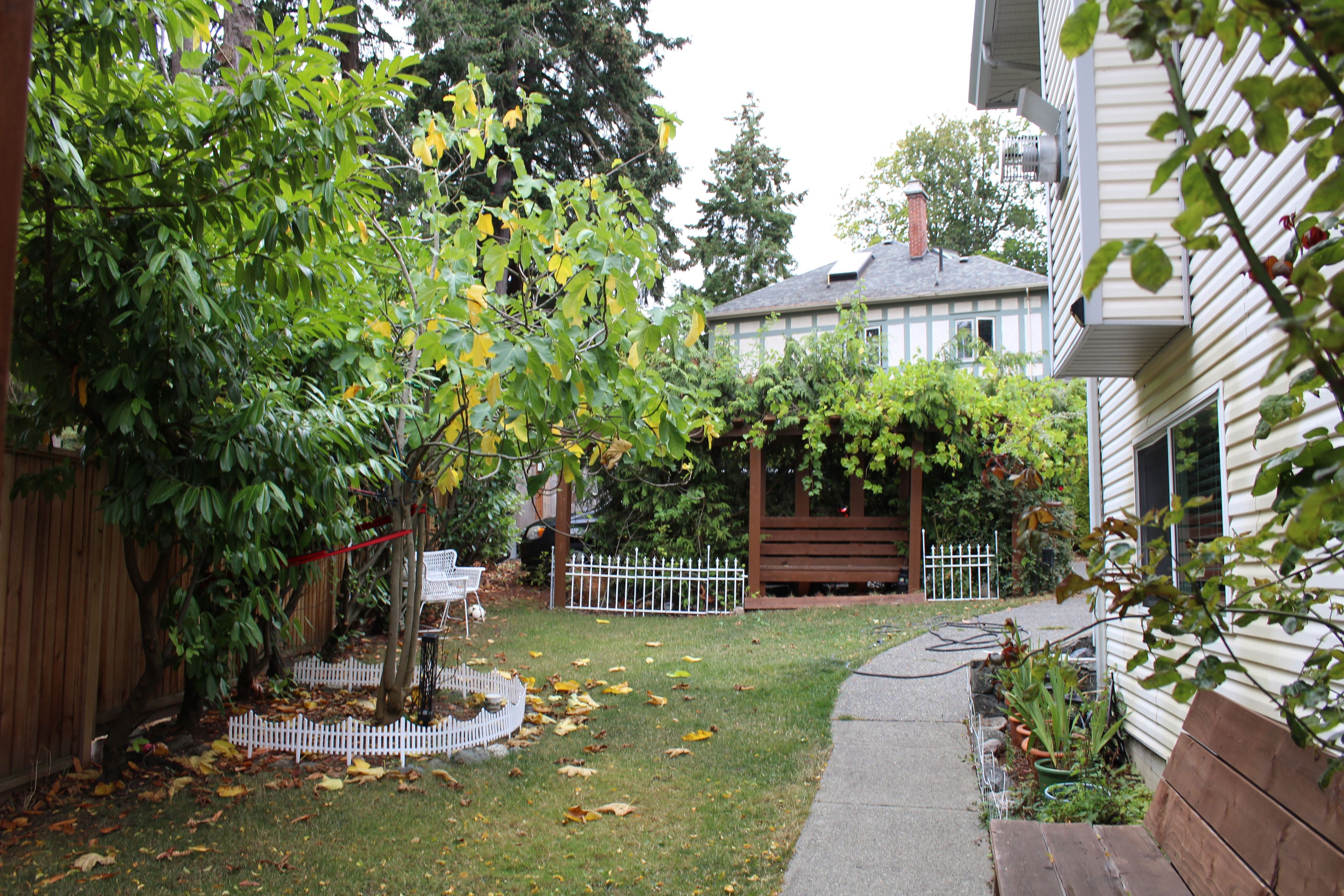 Un patio trasero residencial con valla de madera, cerca blanca de piquetes, banco de jardín y una variedad de plantas y árboles.