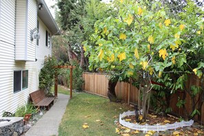 Un jardin à l’arrière d’une maison, avec une terrasse en bois, une clôture blanche en piquets et un arbre aux feuilles jaunes.