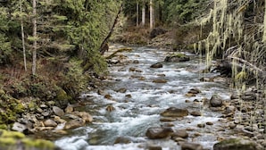 Unclassified image, 5 of 7, button - Your Cascade river retreat awaits (Marblemount)