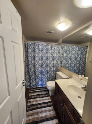 Hair dryer, towels, soap, toilet paper - Cozy Lowertown Getaway (Saint Paul)
