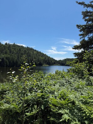 A natural landscape with a lake, dense forest, and a clear sky.