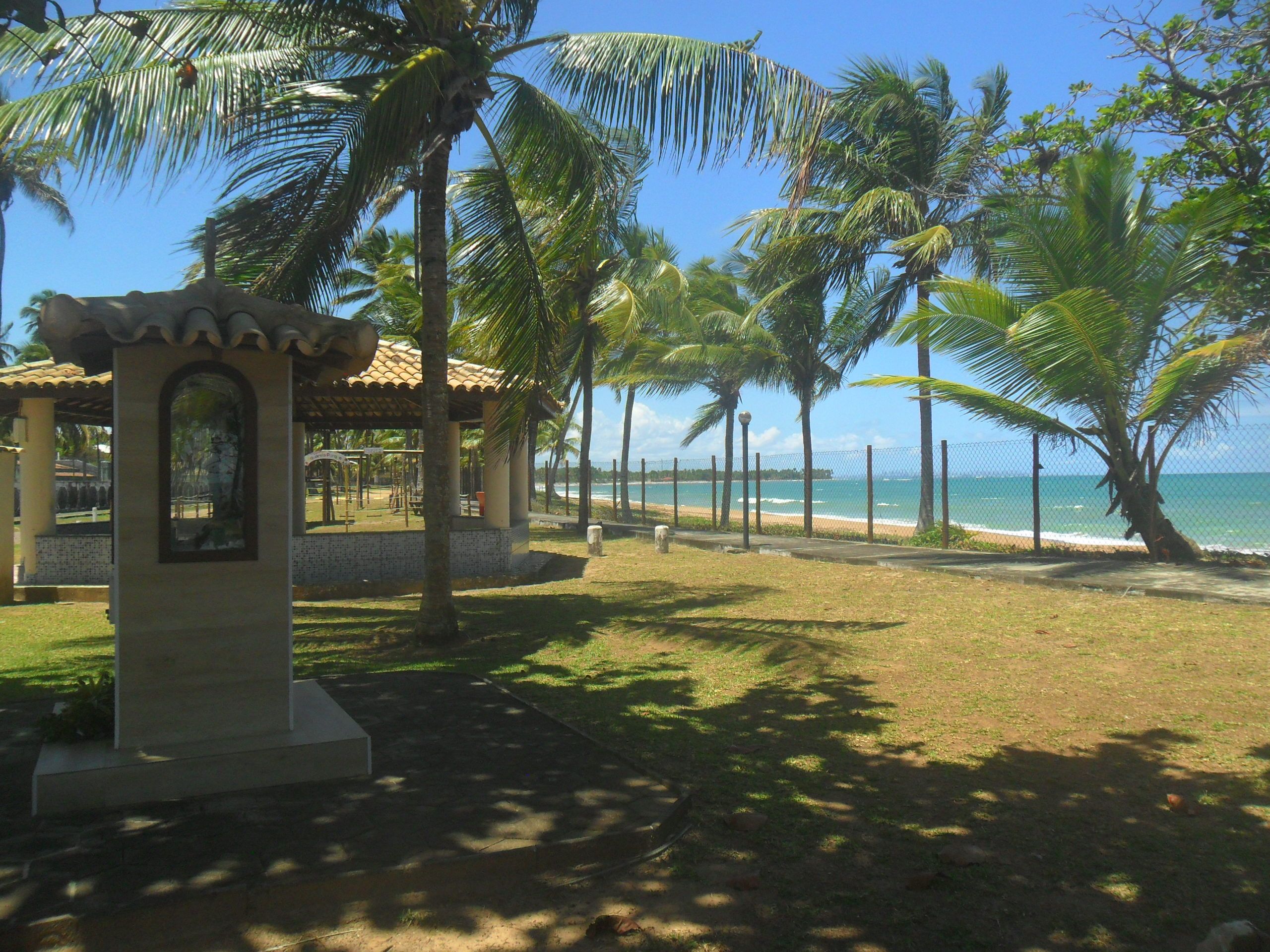 Un espace aménagé au bord de la plage, avec des palmiers, un kiosque et une vue sur l’océan.