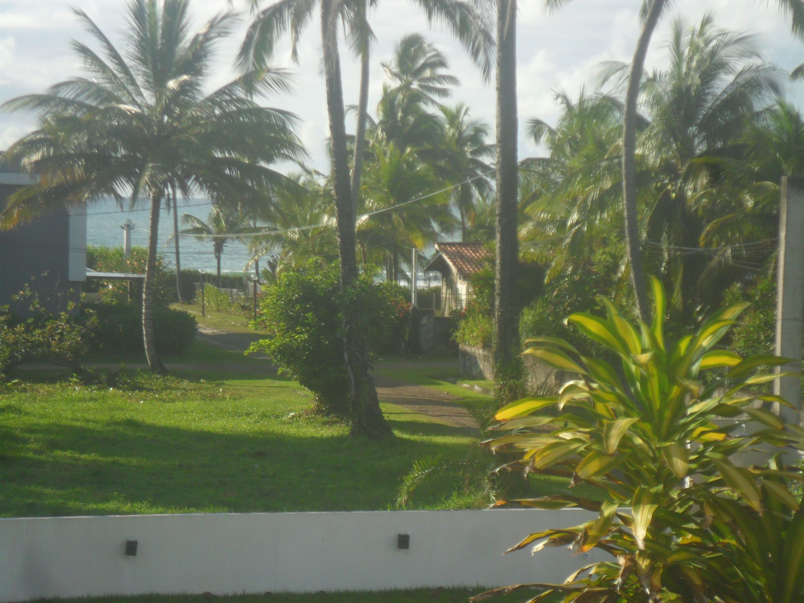 A residential area with palm trees, a white building, and a view of the ocean.