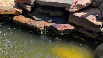 A pond with clear water and a stone structure.