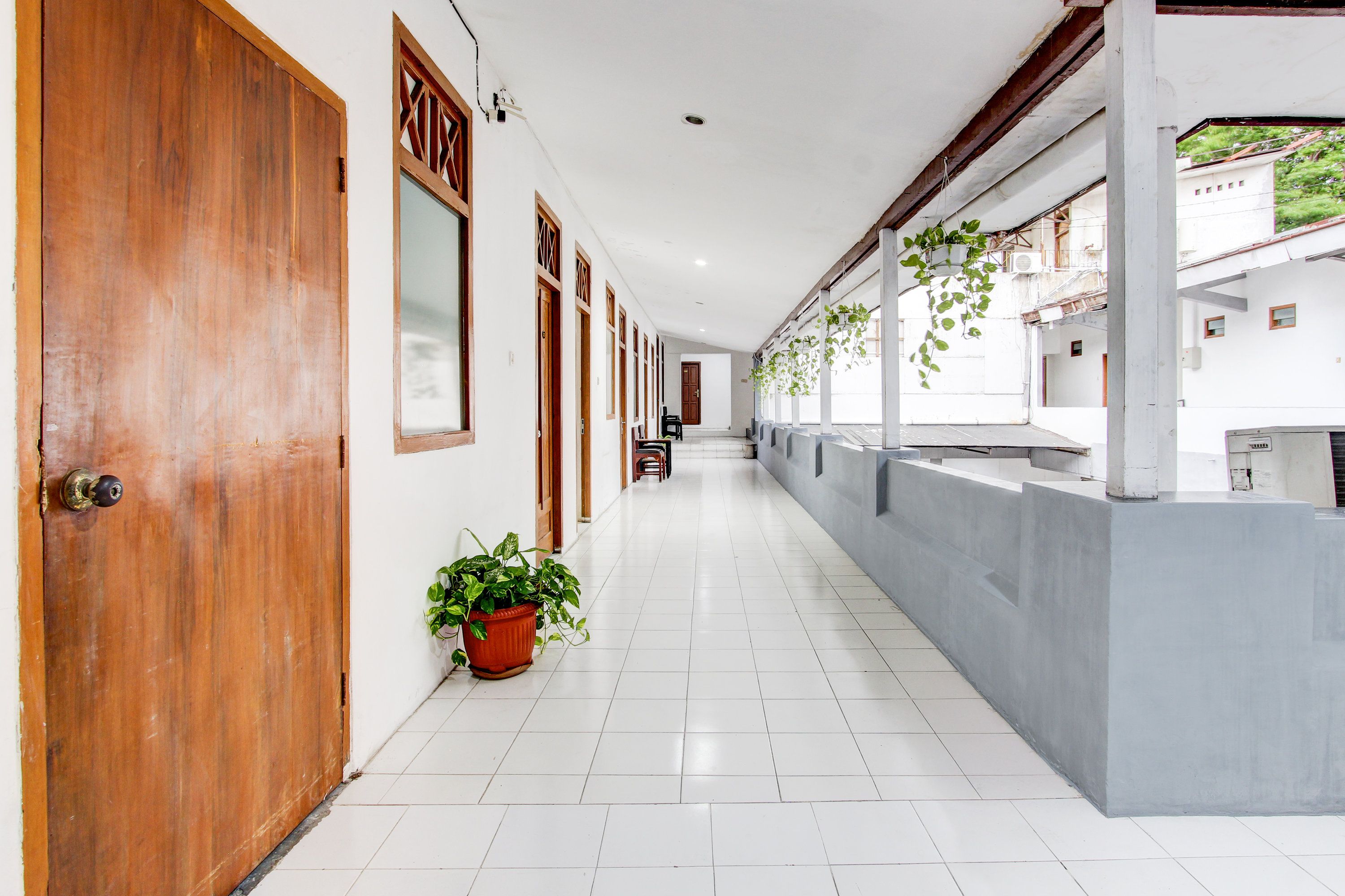 A corridor with wooden doors, a potted plant, and a grey wall with hanging plants.