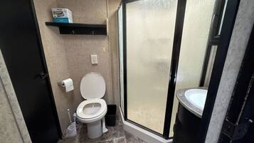 A bathroom with a toilet, a shower enclosure, and a sink.