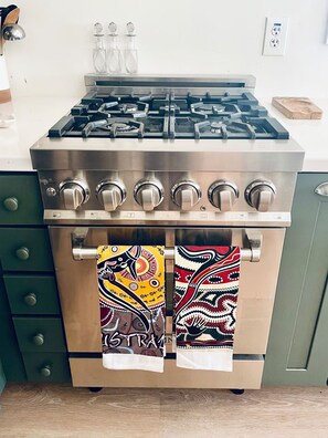 A stainless steel oven with a patterned towel hanging from the handles. - The Corner Saloon with desert and mountain views (Twentynine Palms)