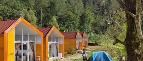 A row of cabins with large windows, a grassy yard, and a forested hill in the background.