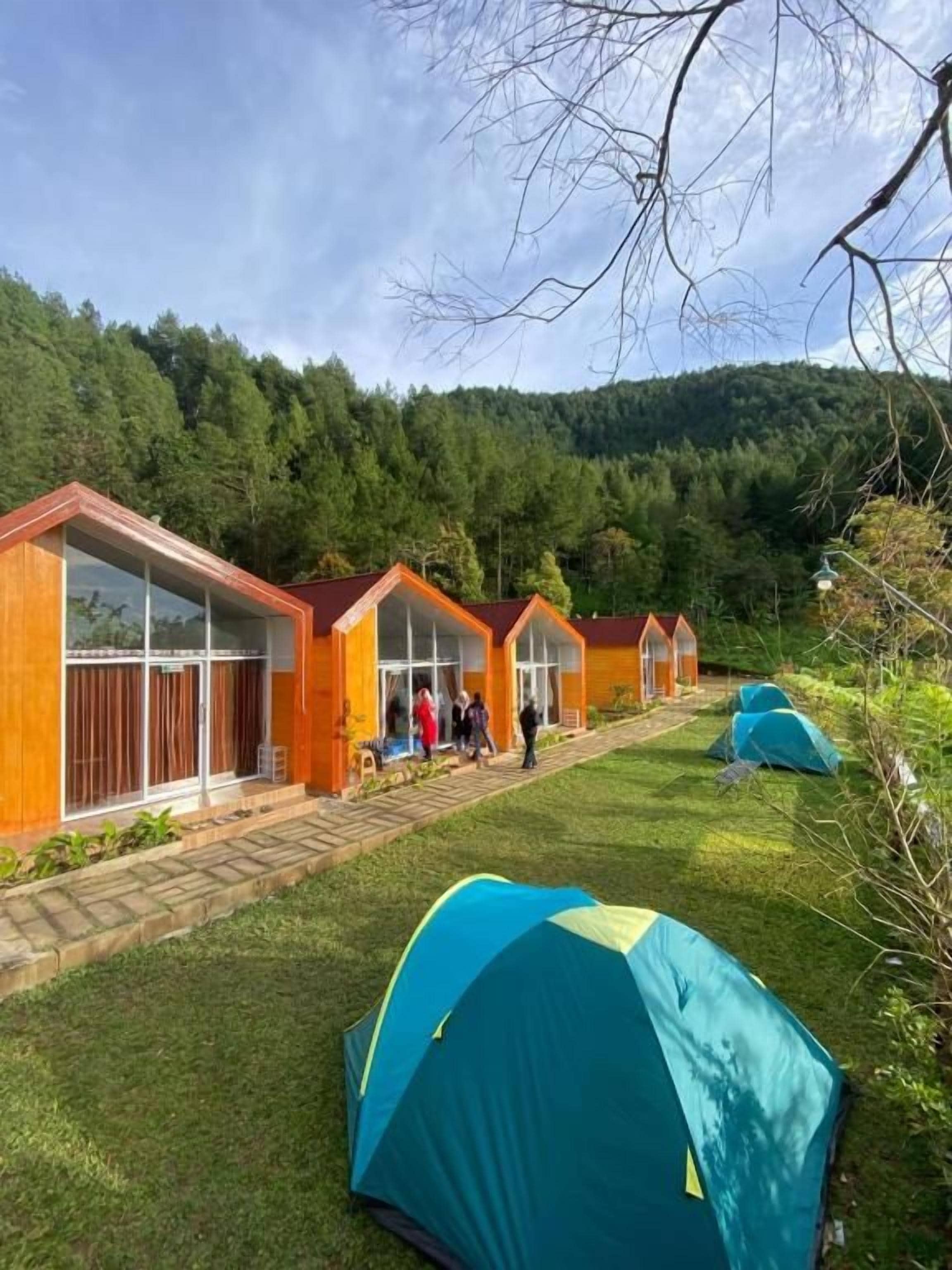 A row of wooden cabins with glass doors, a grassy area with tents, and a forested hillside in the background.