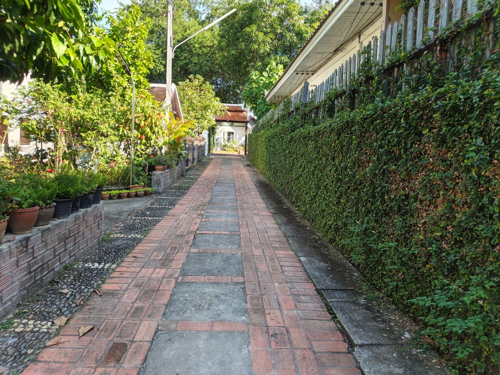 Un vialetto in mattoni, con aiuole e siepe ai lati.
