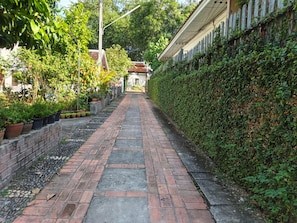 A brick pathway flanked by potted plants and a hedge.