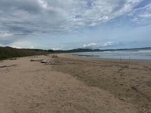 A beach with a sandy shore, a few scattered logs, and a distant view of the ocean under a cloudy sky. - Tropical Lodge The Hidden Hideaway (Playa Grande)