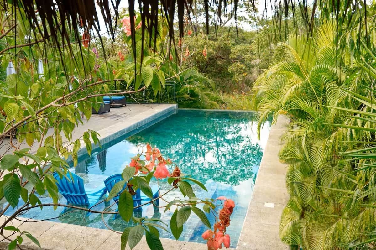 A swimming pool with a tiled edge, surrounded by lush greenery and a few blue chairs.