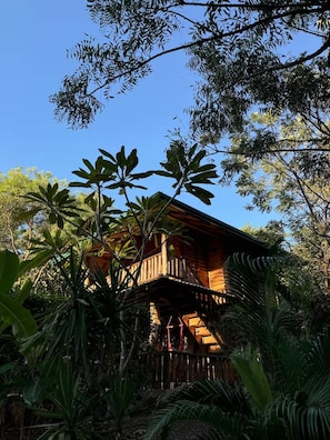 A wooden cabin with a balcony, surrounded by dense tropical foliage. - Tropical Lodge The Hidden Hideaway (Playa Grande)