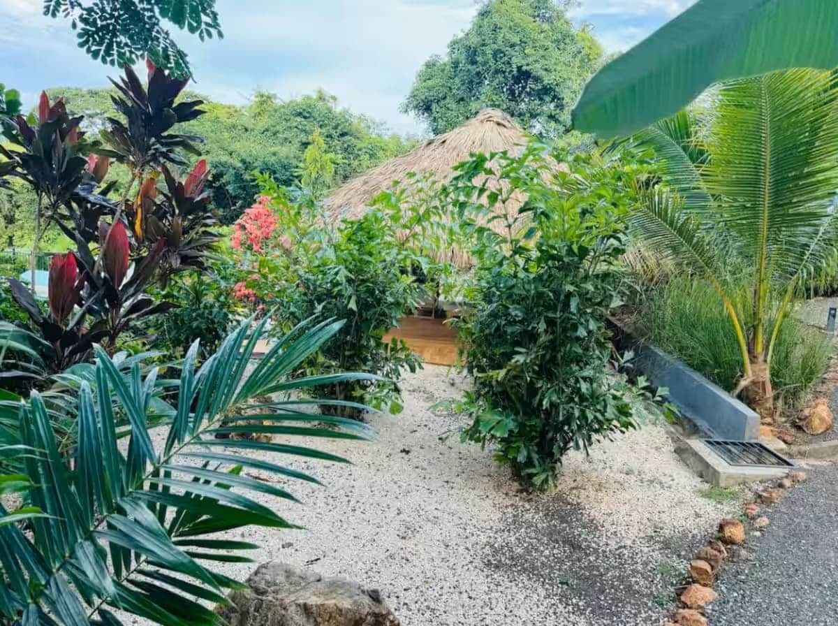 Un jardin où l’on trouve une grande variété de plantes, une construction à toiture de chaume et un chemin de gravier.