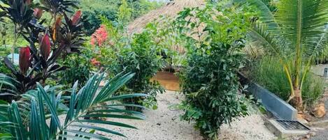 Ein Garten mit verschiedenen Pflanzen, einem reetgedeckten Gebäude und einem Kiesweg.