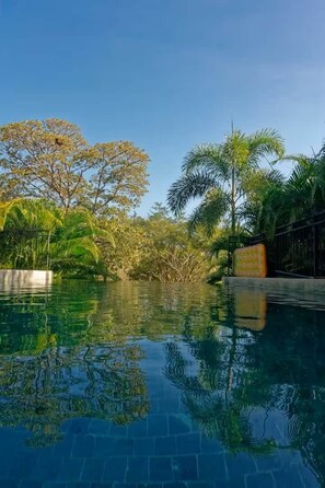 A clear swimming pool surrounded by lush greenery and trees. - Tropical Lodge The Hidden Hideaway (Playa Grande)