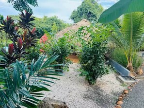 A garden with a variety of plants, a thatched structure, and a gravel path. - Tropical Lodge The Hidden Hideaway (Playa Grande)